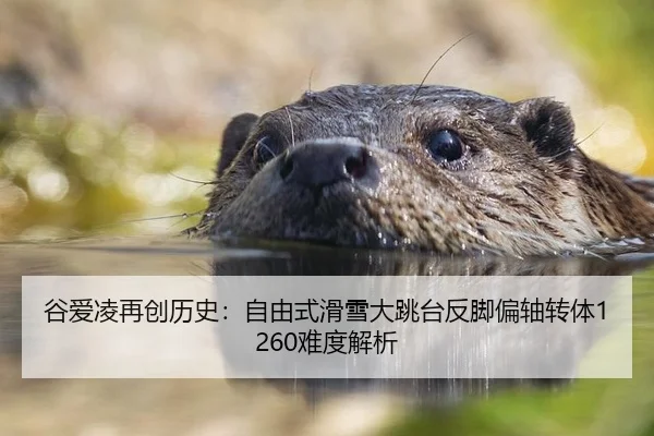 谷爱凌再创历史：自由式滑雪大跳台反脚偏轴转体1260难度解析