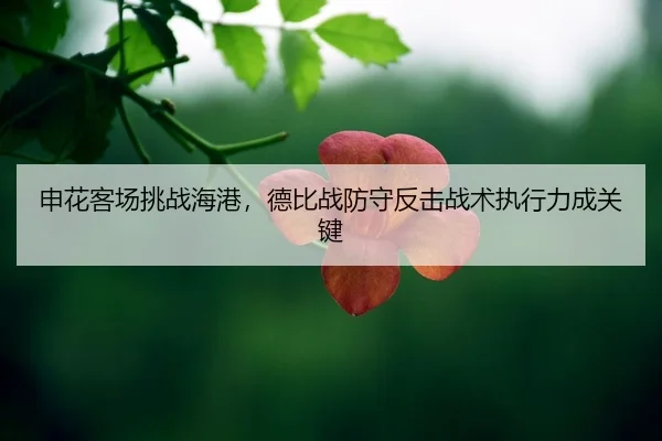 shen-hua-ke-chang-tiao-zhan-hai-gang-de-bi-zhan-fang-shou-fan-ji-zhan-shu-zhi-xing-li-cheng-guan-jian-2-477.jpg