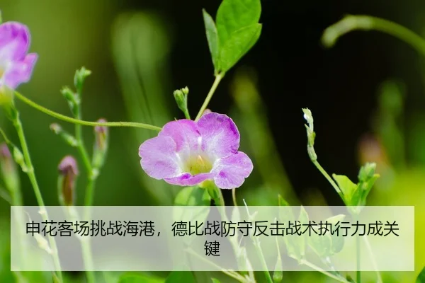 shen-hua-ke-chang-tiao-zhan-hai-gang-de-bi-zhan-fang-shou-fan-ji-zhan-shu-zhi-xing-li-cheng-guan-jian-3-729.jpg