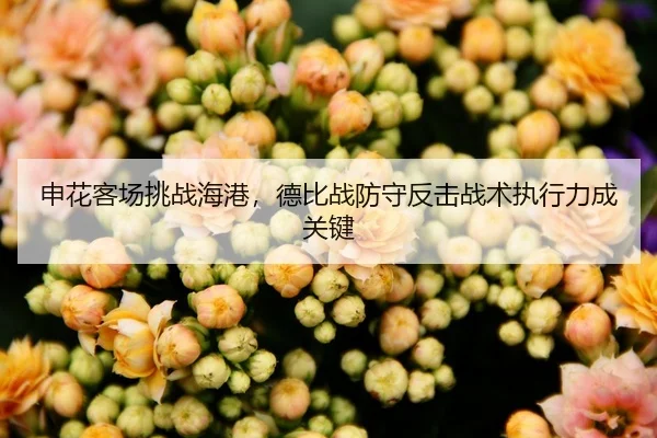 申花客场挑战海港，德比战防守反击战术执行力成关键