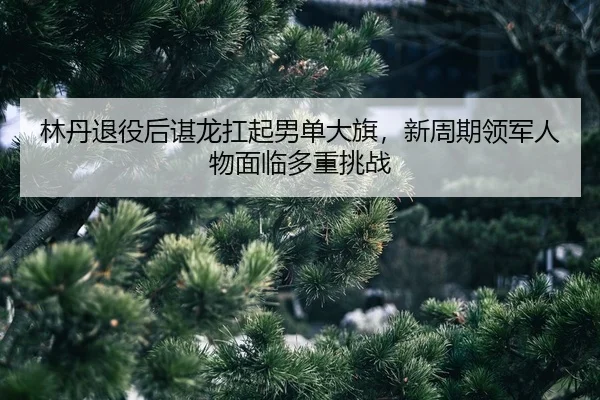 lin-dan-tui-yi-hou-chen-long-kang-qi-nan-dan-da-qi-xin-zhou-qi-ling-jun-ren-wu-mian-lin-duo-zhong-tiao-zhan-2-283.jpg