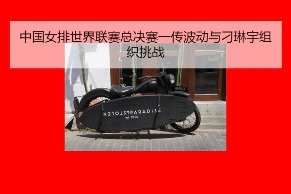 zhong-guo-nv-pai-shi-jie-lian-sai-zong-jue-sai-yi-chuan-bo-dong-yu-diao-lin-yu-zu-zhi-tiao-zhan-2-730.jpg