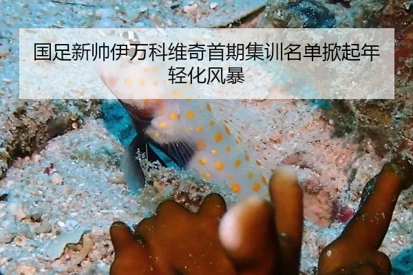 国足新帅伊万科维奇首期集训名单掀起年轻化风暴