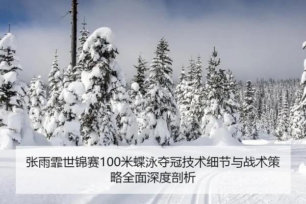 张雨霏世锦赛100米蝶泳夺冠技术细节与战术策略全面深度剖析