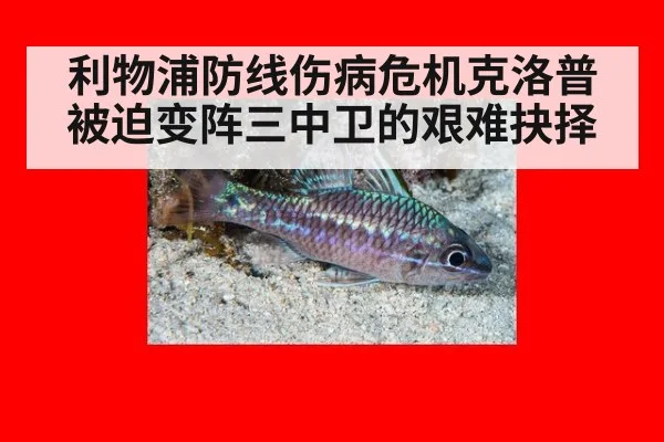 利物浦防线伤病危机克洛普被迫变阵三中卫的艰难抉择
