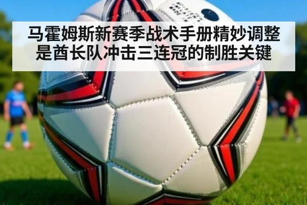 马霍姆斯新赛季战术手册精妙调整是酋长队冲击三连冠的制胜关键
