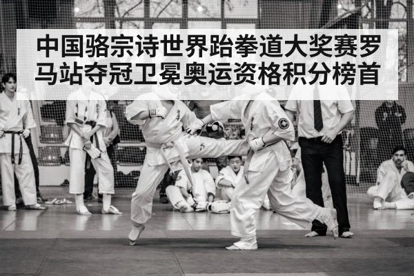中国骆宗诗世界跆拳道大奖赛罗马站夺冠卫冕奥运资格积分榜首